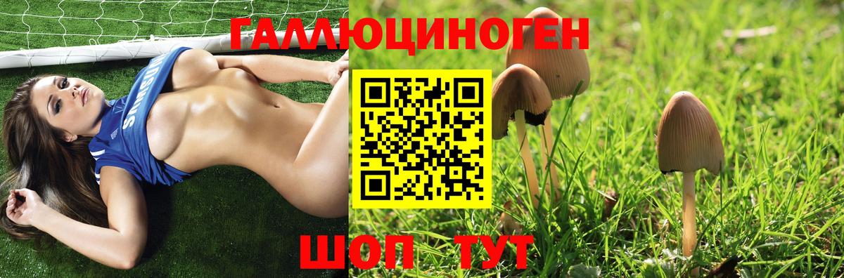 Галлюциногенные грибы MAGIC MUSHROOMS  Вход с VPN  Балтийск 