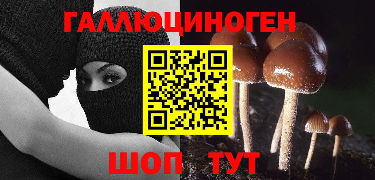 Псилоцибиновые грибы мухоморы Балтийск